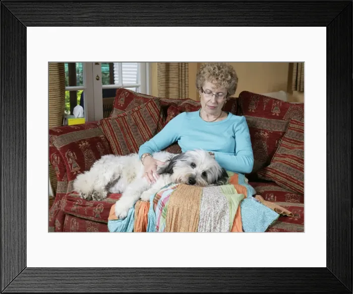 Framed Print : Picture No. 10745259 Framed Print : Picture No. 10745259