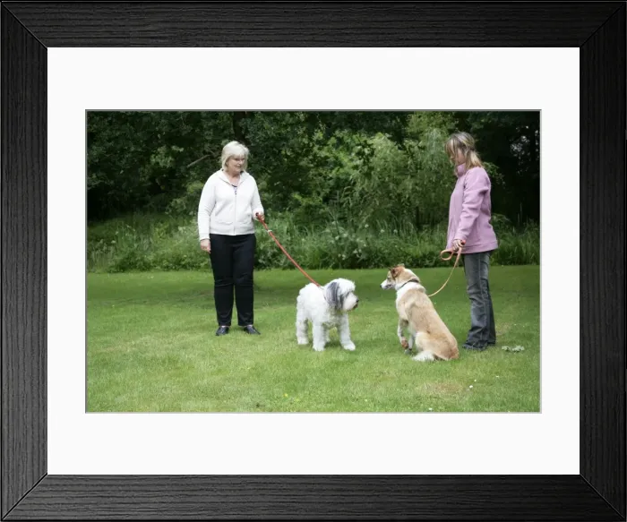 Framed Print : Picture No. 10745252 Framed Print : Picture No. 10745252