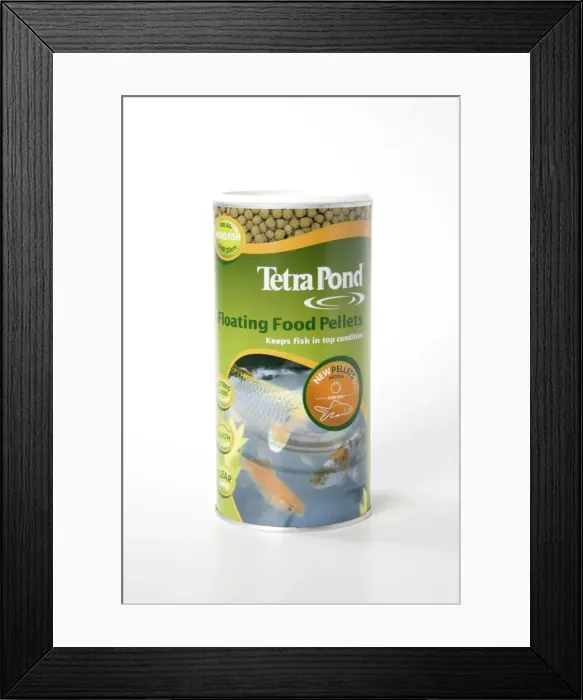 Framed Print : Picture No. 10745262 Framed Print : Picture No. 10745262