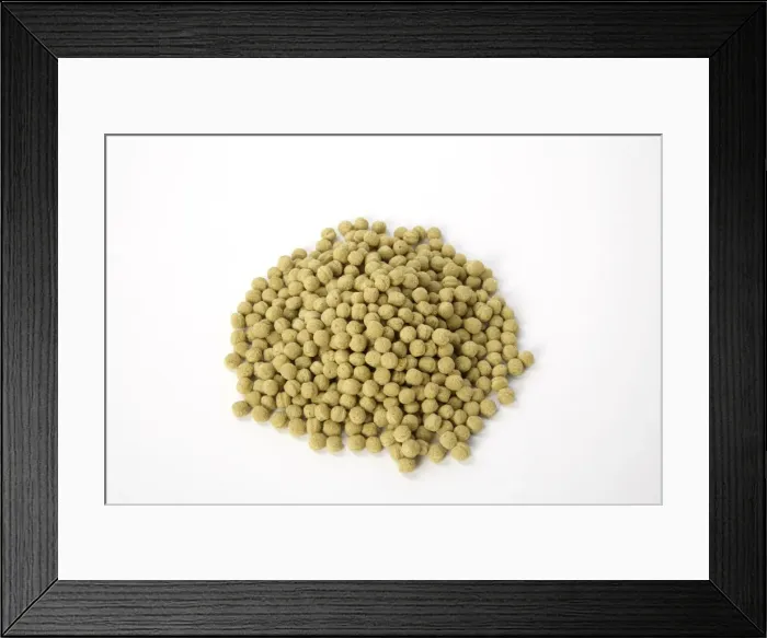 Framed Print : Picture No. 10745264 Framed Print : Picture No. 10745264