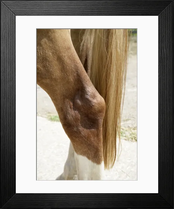 Framed Print : Picture No. 10745624 Framed Print : Picture No. 10745624