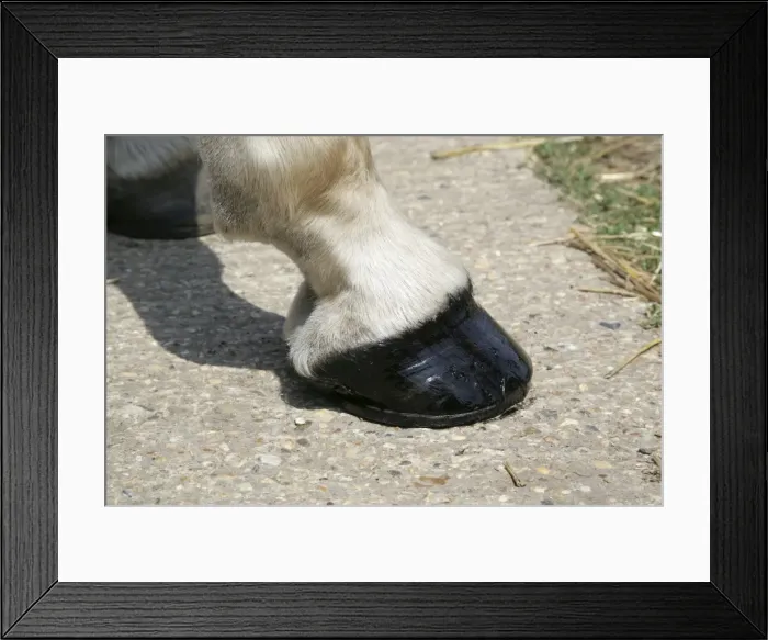 Framed Print : Picture No. 10745625 Framed Print : Picture No. 10745625