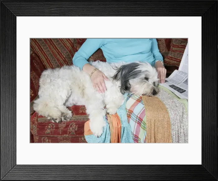 Framed Print : Picture No. 10745260 Framed Print : Picture No. 10745260