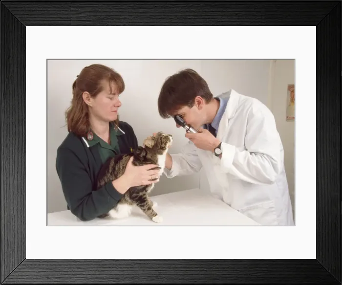 Framed Print : Picture No. 10745568 Framed Print : Picture No. 10745568
