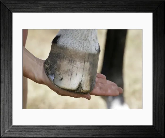 Framed Print : Picture No. 10745632 Framed Print : Picture No. 10745632