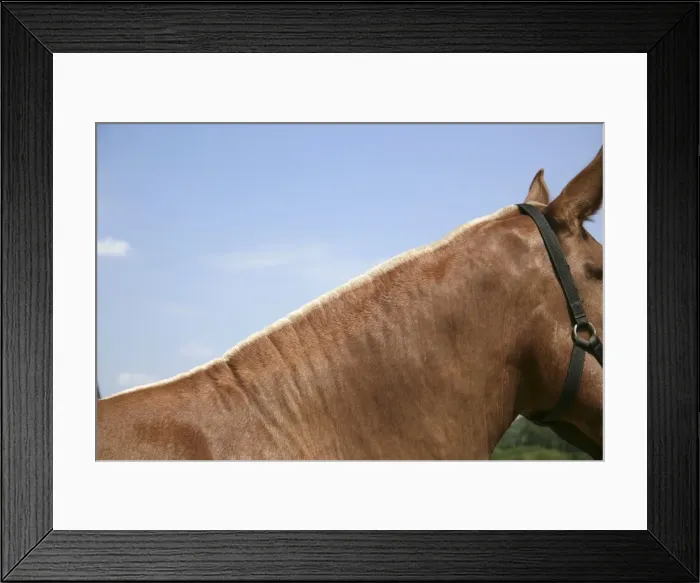 Framed Print : Picture No. 10745637 Framed Print : Picture No. 10745637