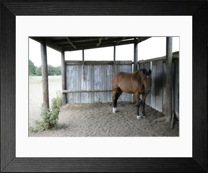 Framed Print : Picture No. 10745630 Framed Print : Picture No. 10745630