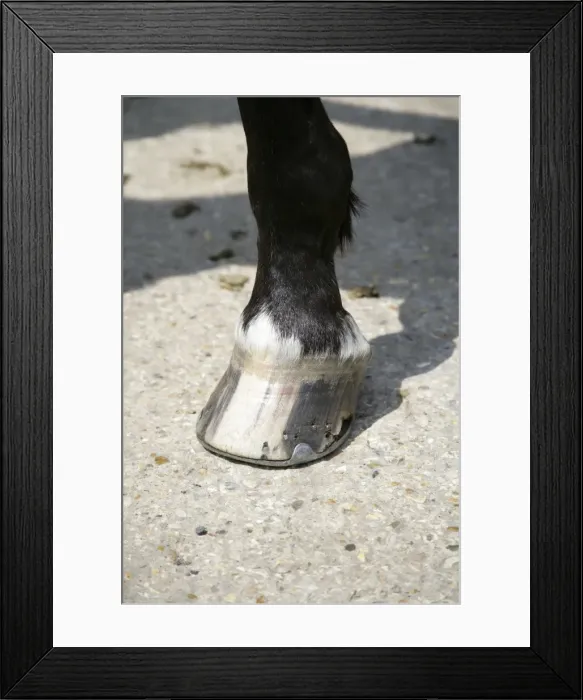 Framed Print : Picture No. 10745635 Framed Print : Picture No. 10745635