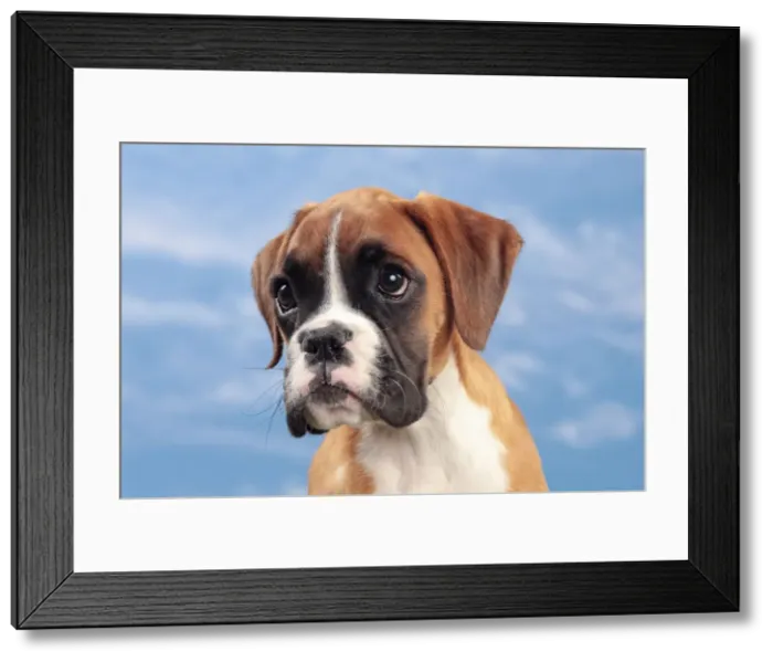 Framed Print : Picture No. 10982911 Framed Print : Picture No. 10982911