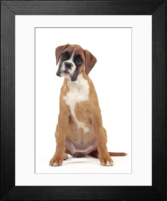 Framed Print : Picture No. 10982914 Framed Print : Picture No. 10982914
