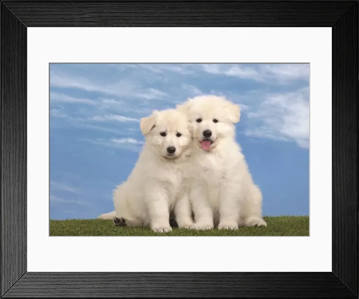 Framed Print : Picture No. 10982953 Framed Print : Picture No. 10982953