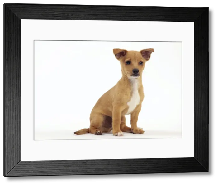 Framed Print : Picture No. 10982984 Framed Print : Picture No. 10982984