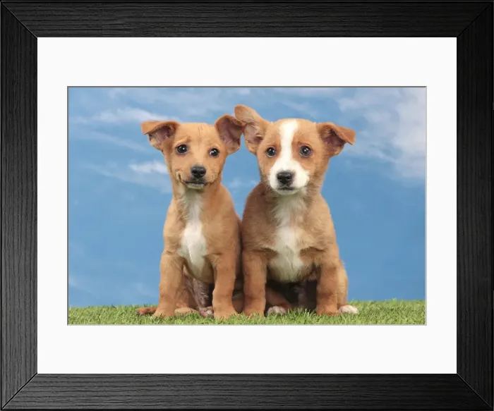 Framed Print : Picture No. 10982988 Framed Print : Picture No. 10982988