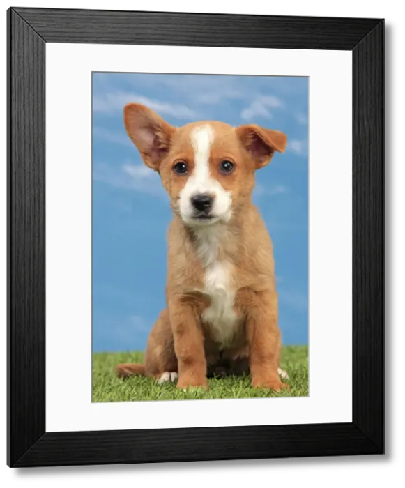 Framed Print : Picture No. 10982989 Framed Print : Picture No. 10982989