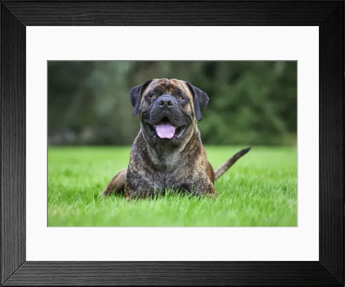 Framed Print : Picture No. 10983010 Framed Print : Picture No. 10983010
