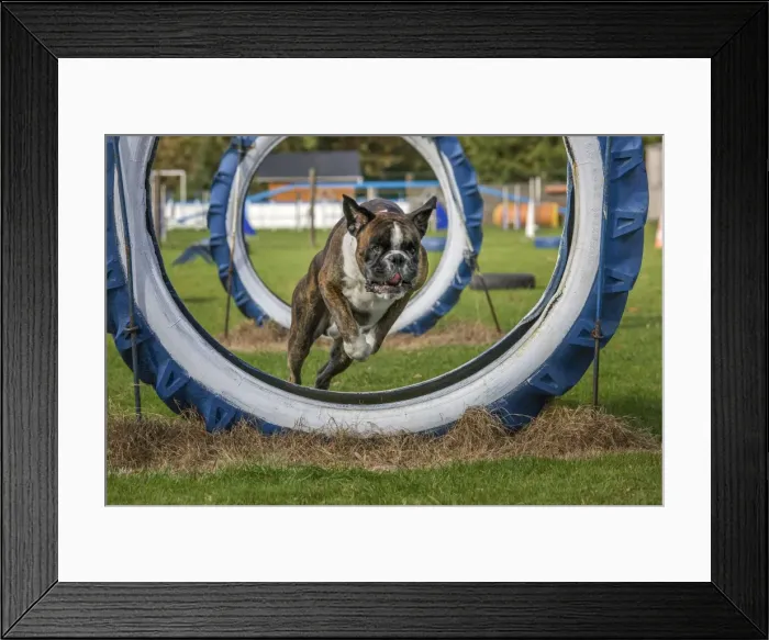 Framed Print : Picture No. 10983018 Framed Print : Picture No. 10983018