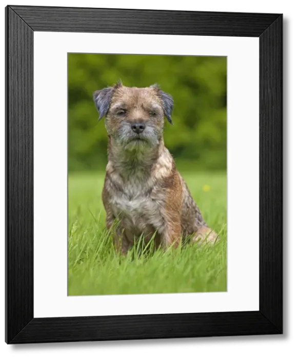 Framed Print : Picture No. 10983015 Framed Print : Picture No. 10983015