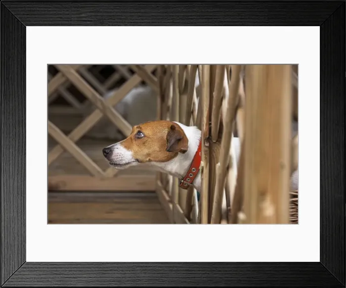 Framed Print : Picture No. 10983029 Framed Print : Picture No. 10983029