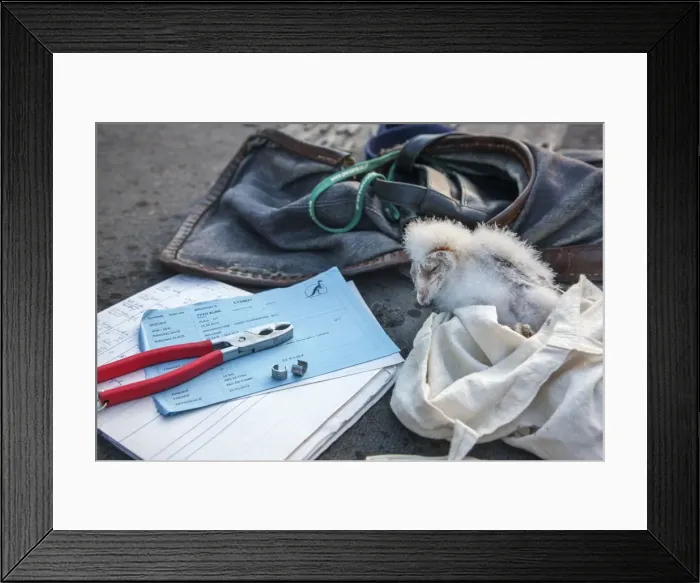 Framed Print : Picture No. 10983030