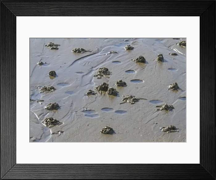 Framed Print : Picture No. 10983044 Framed Print : Picture No. 10983044