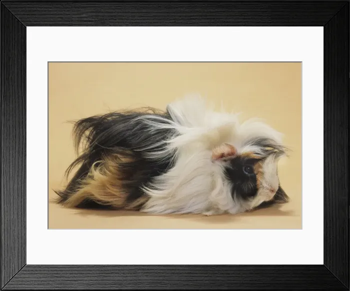 Framed Print : Picture No. 10983072