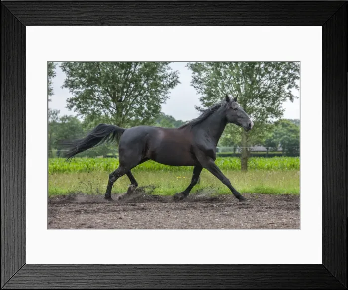 Framed Print : Picture No. 10983082 Framed Print : Picture No. 10983082