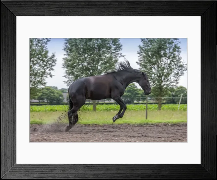Framed Print : Picture No. 10983081 Framed Print : Picture No. 10983081