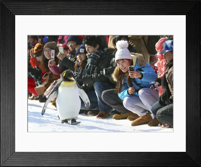 Framed Print : Picture No. 10983114 Framed Print : Picture No. 10983114