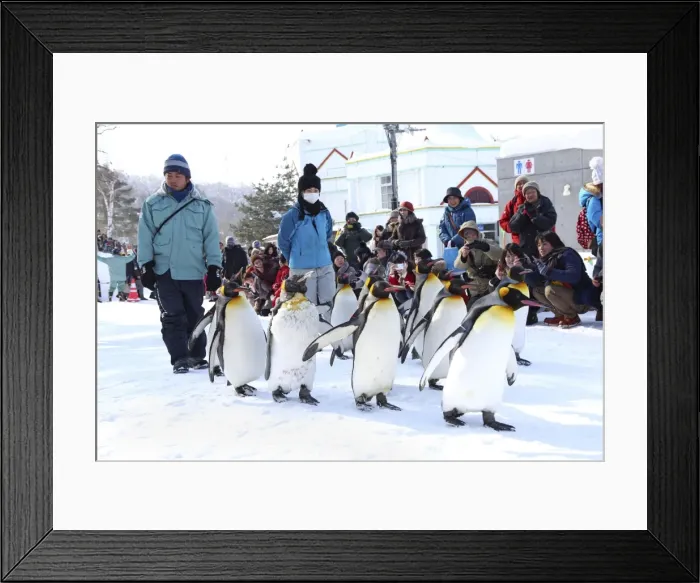 Framed Print : Picture No. 10983116
