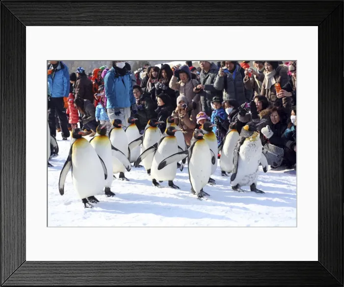 Framed Print : Picture No. 10983115 Framed Print : Picture No. 10983115
