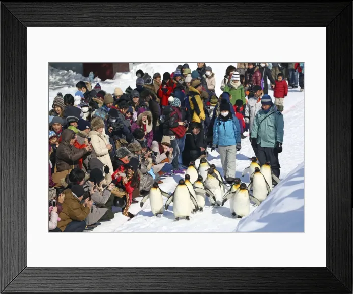 Framed Print : Picture No. 10983121 Framed Print : Picture No. 10983121