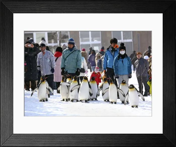 Framed Print : Picture No. 10983113 Framed Print : Picture No. 10983113