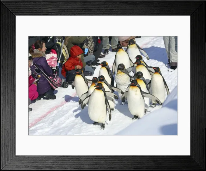 Framed Print : Picture No. 10983122 Framed Print : Picture No. 10983122
