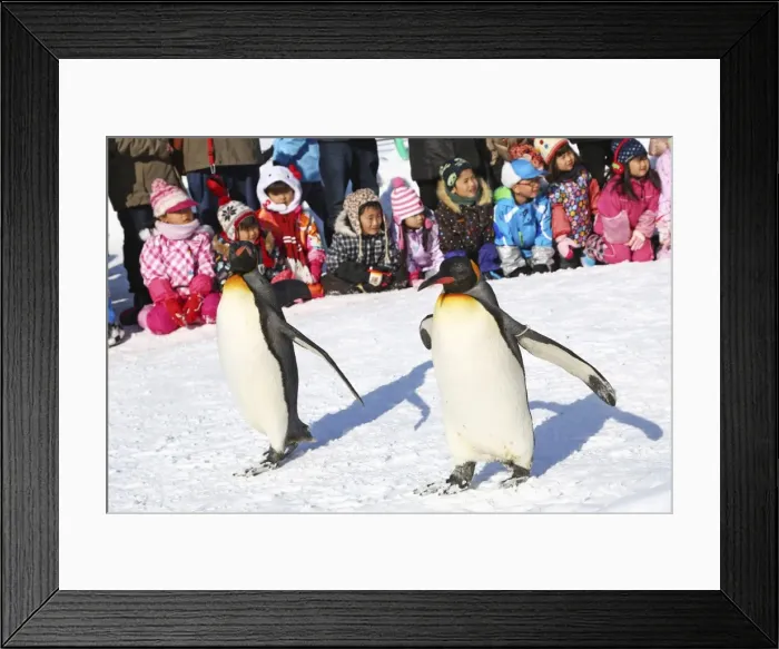Framed Print : Picture No. 10983123 Framed Print : Picture No. 10983123