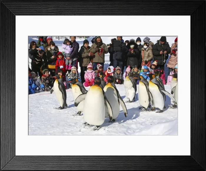 Framed Print : Picture No. 10983125 Framed Print : Picture No. 10983125