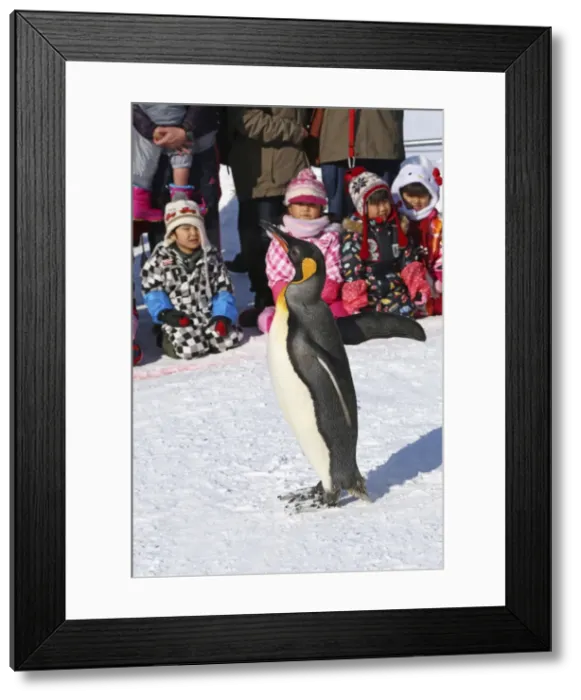 Framed Print : Picture No. 10983124