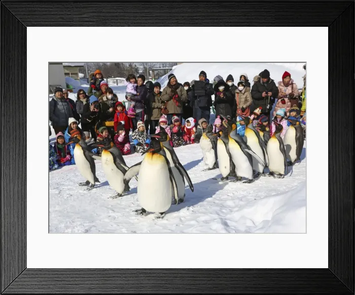 Framed Print : Picture No. 10983126 Framed Print : Picture No. 10983126