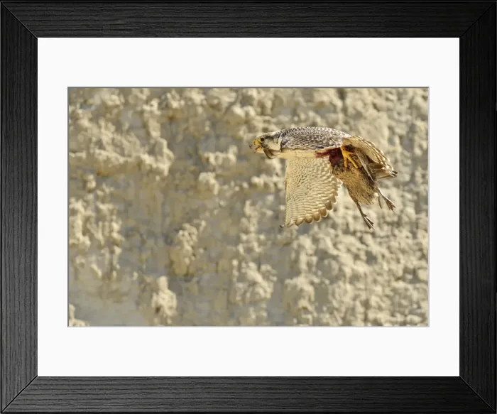 Framed Print : Picture No. 10983140 Framed Print : Picture No. 10983140