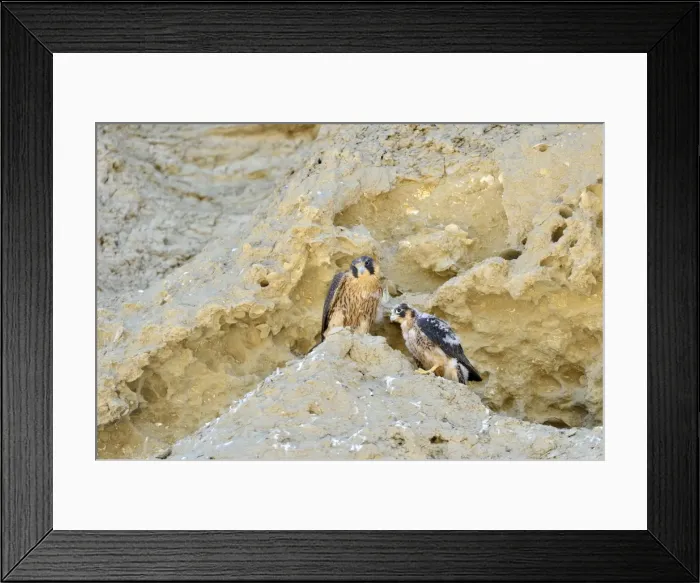 Framed Print : Picture No. 10983144 Framed Print : Picture No. 10983144