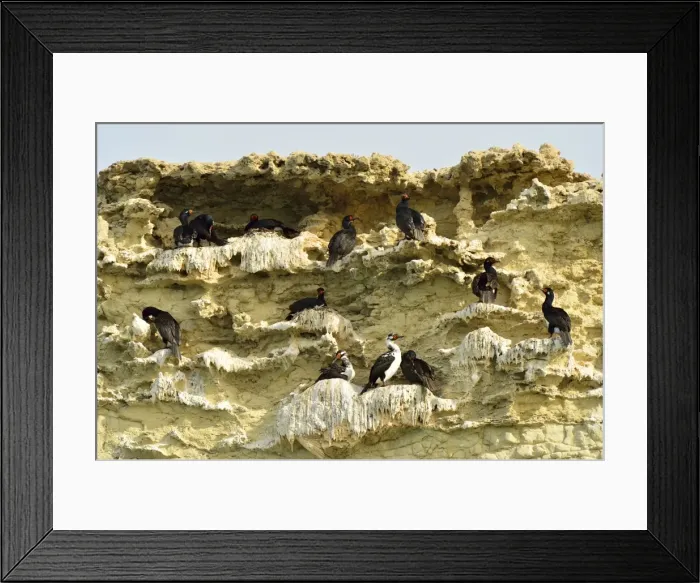 Framed Print : Picture No. 10983162 Framed Print : Picture No. 10983162