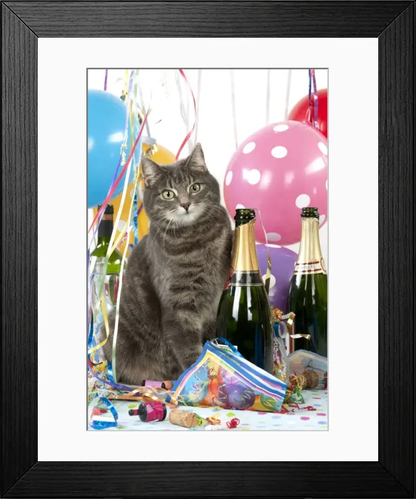 Framed Print : Picture No. 10983250 Framed Print : Picture No. 10983250
