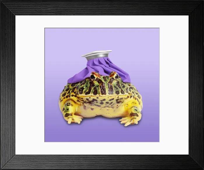 Framed Print : Picture No. 10983248