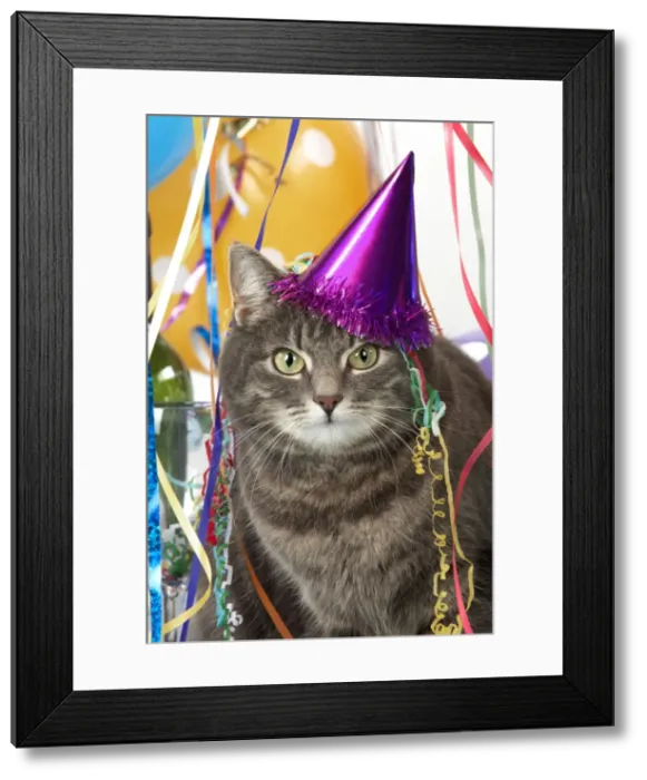 Framed Print : Picture No. 10983251 Framed Print : Picture No. 10983251