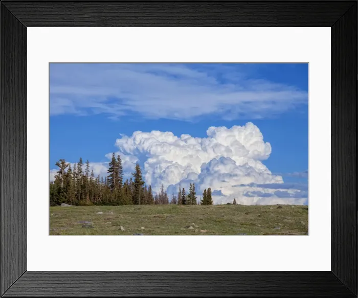 Framed Print : Picture No. 10982726 Framed Print : Picture No. 10982726