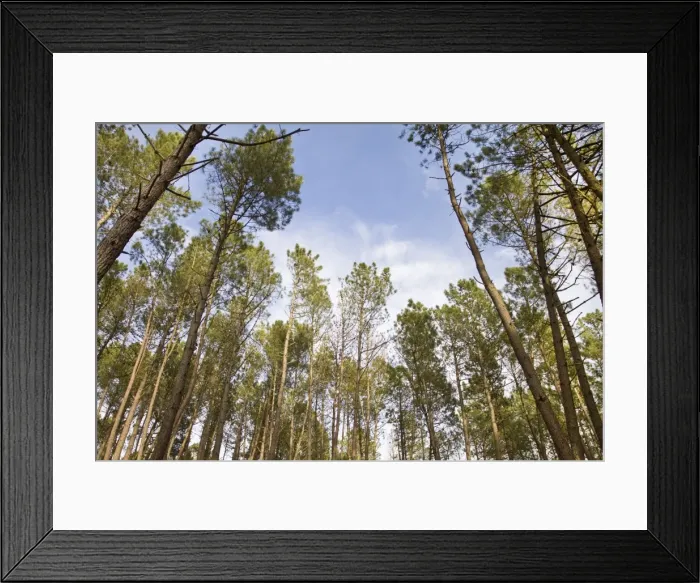 Framed Print : Picture No. 10982724 Framed Print : Picture No. 10982724