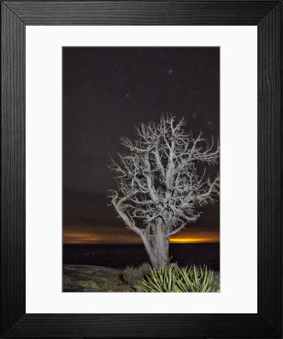 Framed Print : Picture No. 10982730 Framed Print : Picture No. 10982730