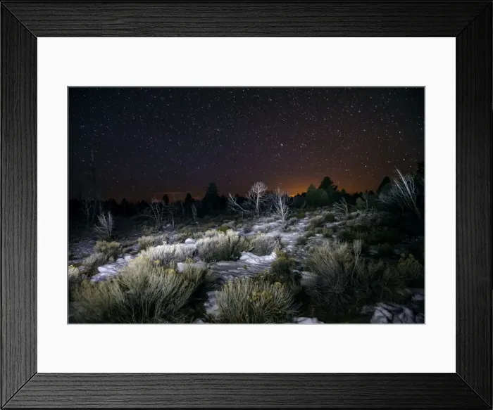 Framed Print : Picture No. 10982729 Framed Print : Picture No. 10982729
