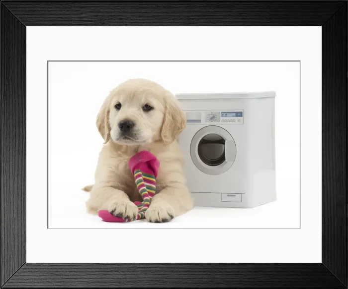 Framed Print : Picture No. 10983436 Framed Print : Picture No. 10983436