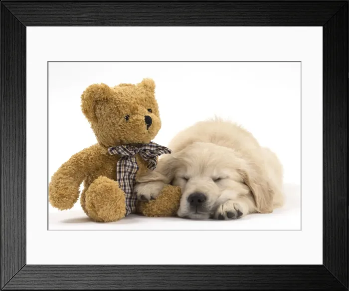 Framed Print : Picture No. 10983441 Framed Print : Picture No. 10983441