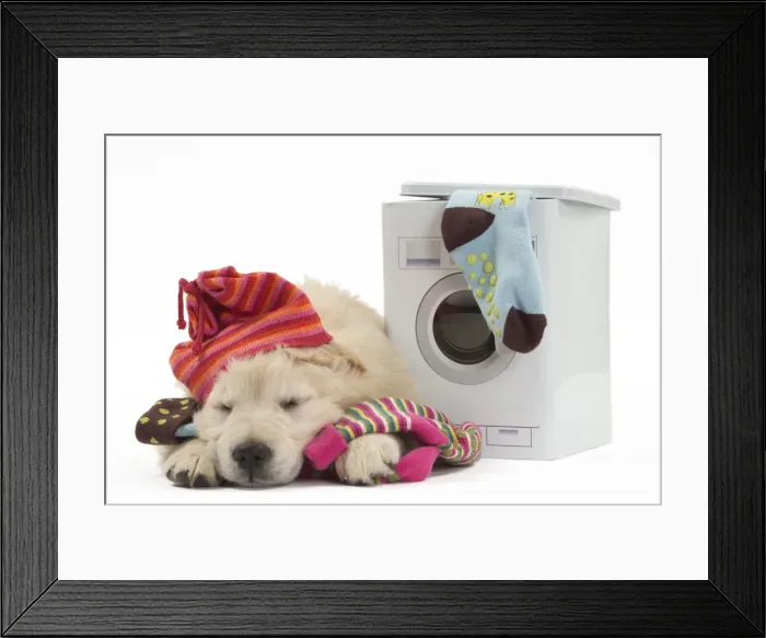 Framed Print : Picture No. 10983439 Framed Print : Picture No. 10983439